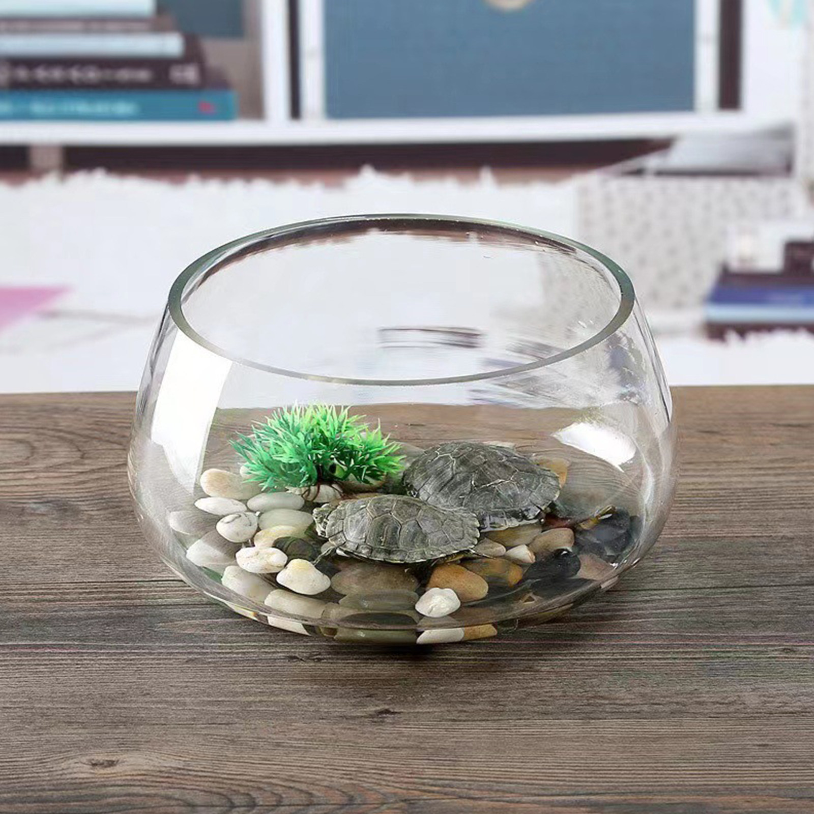 Round Mini Aquarium Tank Clear – Planted Aquarium For Goldfish Bewertung und Preis