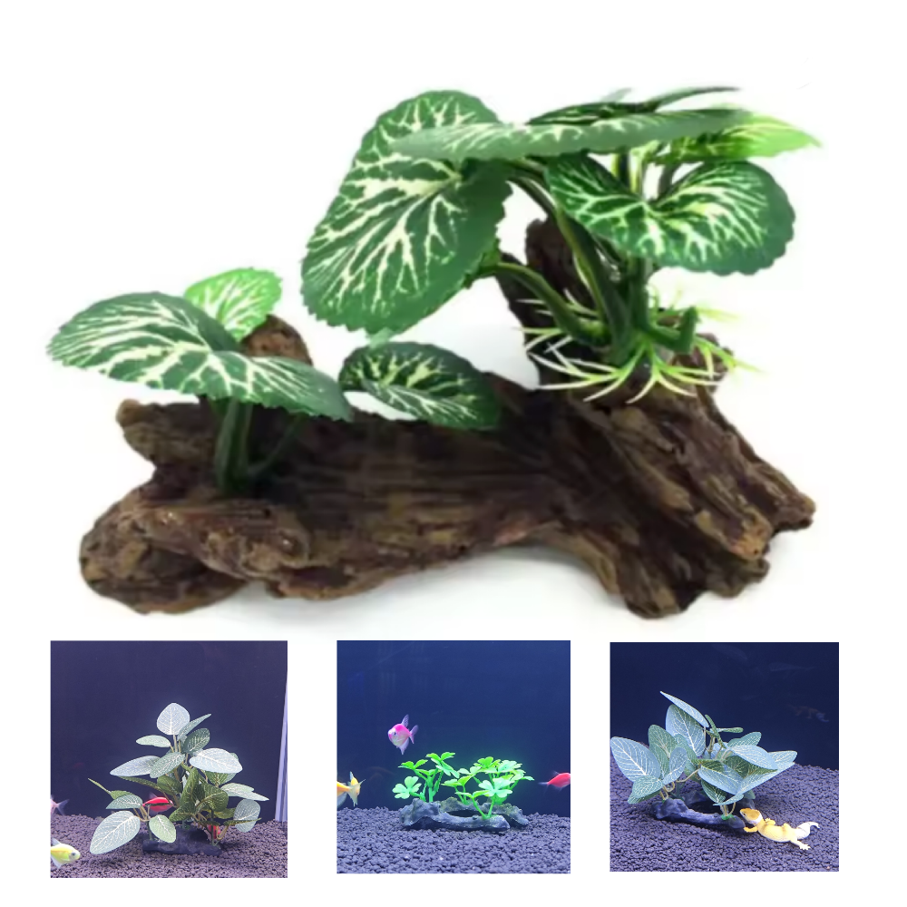 Aquarium simulation plant Plas – Aquarium Plant Seeds Bewertung und Preis