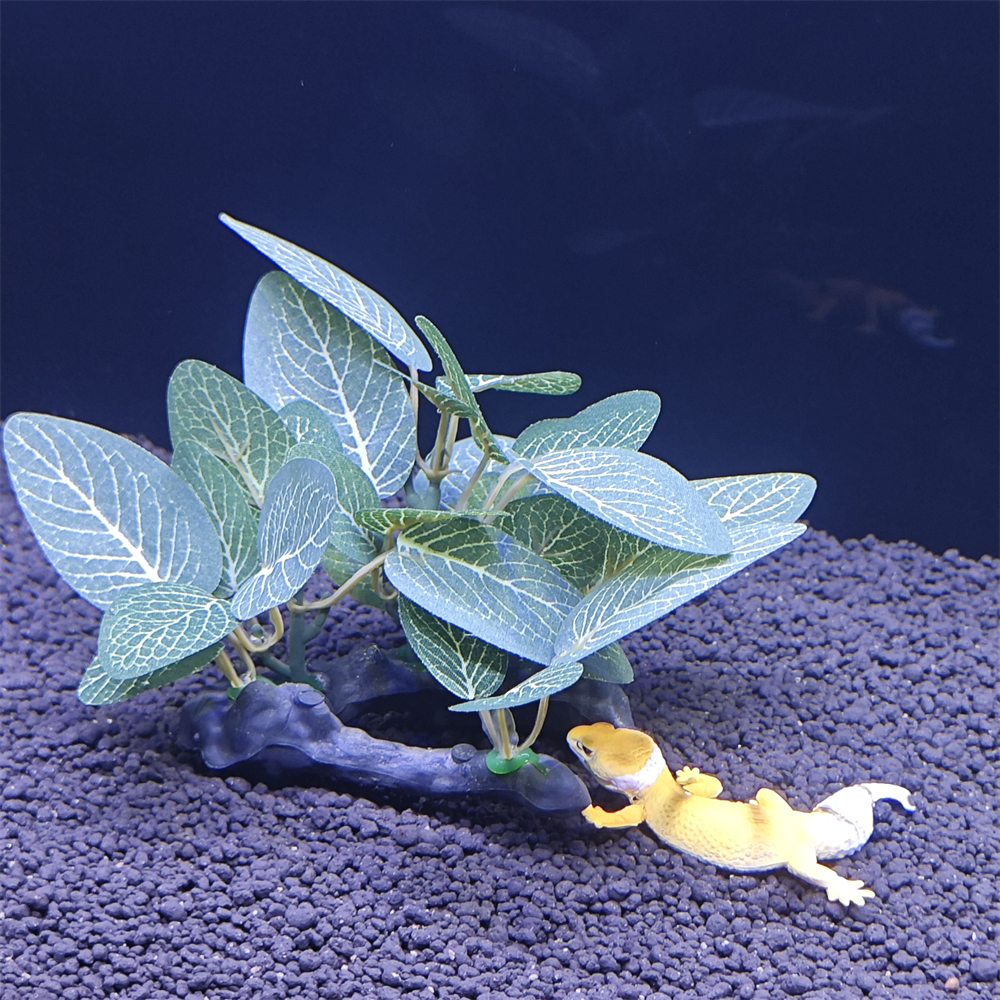 Aquarium simulation plant Plas – Aquarium Plant Seeds Bewertung und Preis