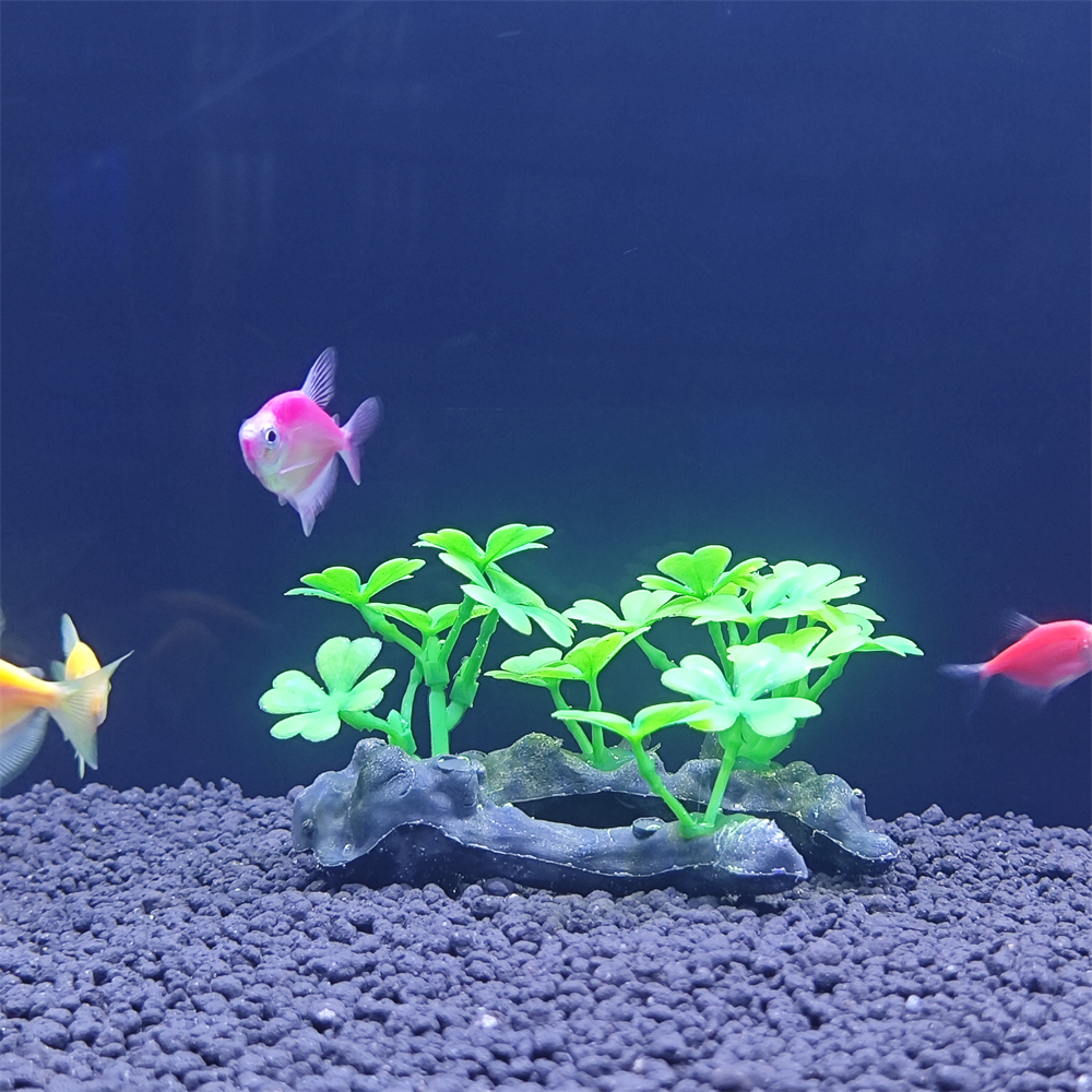 Aquarium simulation plant Plas – Aquarium Plant Seeds Bewertung und Preis