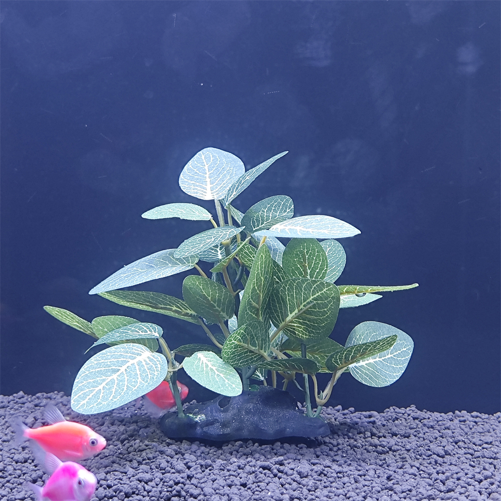Aquarium simulation plant Plas – Aquarium Plant Seeds Bewertung und Preis