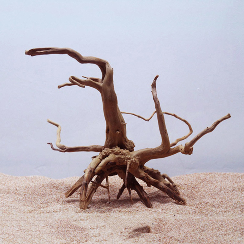 4pc Natural Driftwood Aquarium – Aquarium Plants For Sale Bewertung und Preis