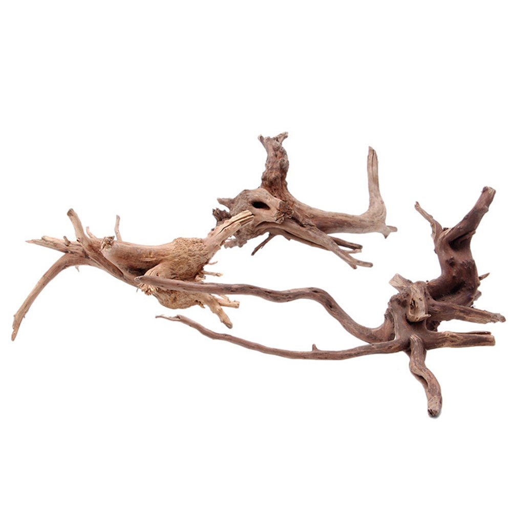 4pc Natural Driftwood Aquarium – Aquarium Plants For Sale Bewertung und Preis