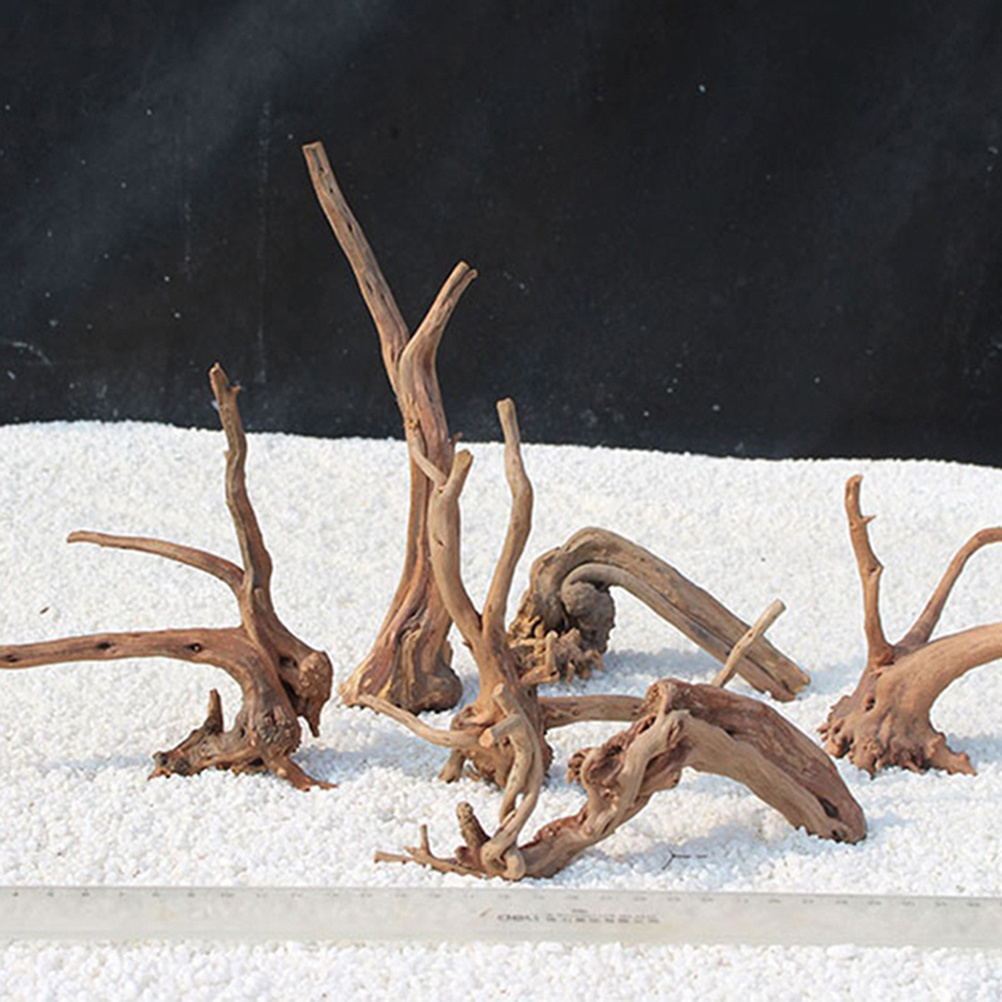 4pc Natural Driftwood Aquarium – Aquarium Plants For Sale Bewertung und Preis