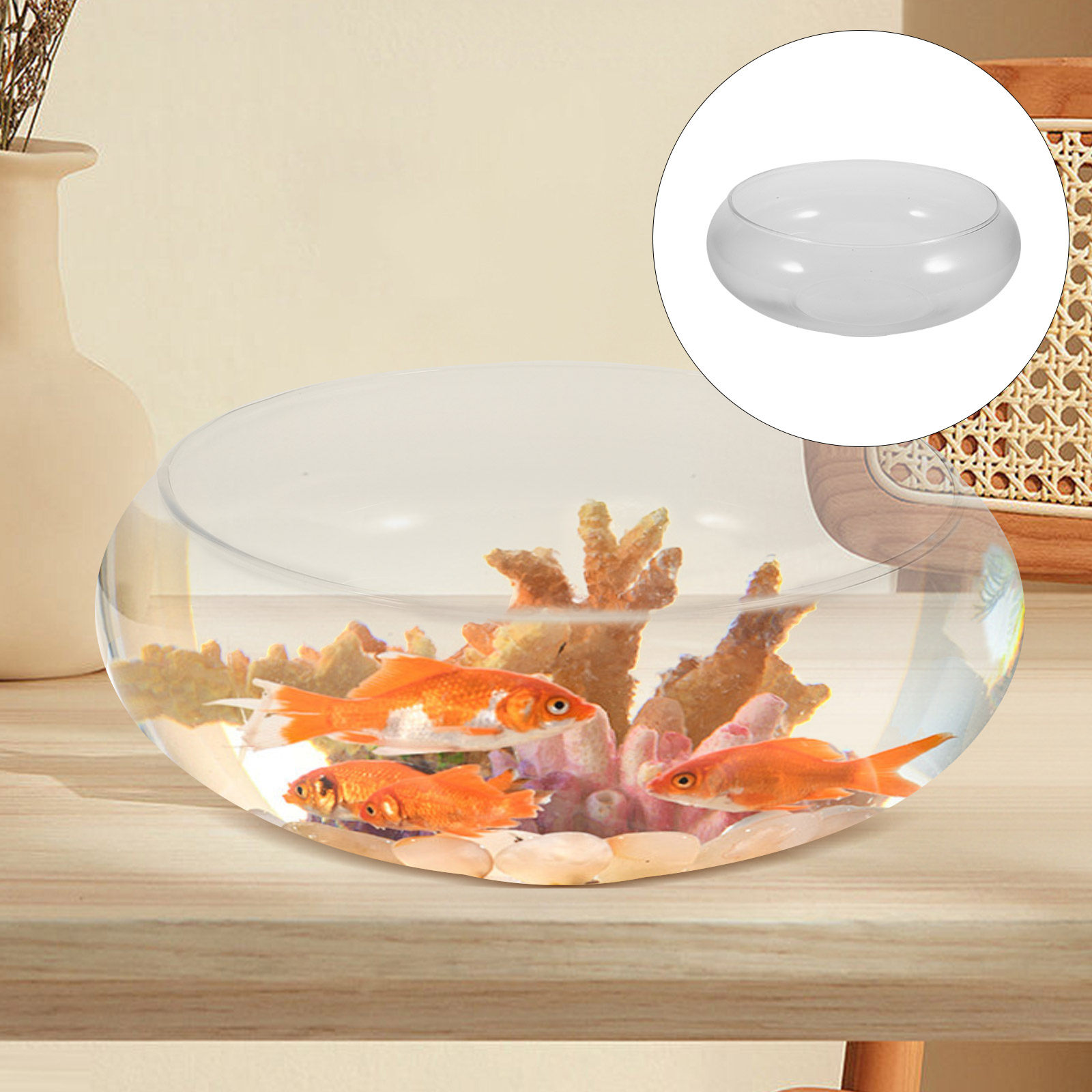 Glass Round Fish Bowl Desktop  – Planted Aquarium For Goldfish Bewertung und Preis