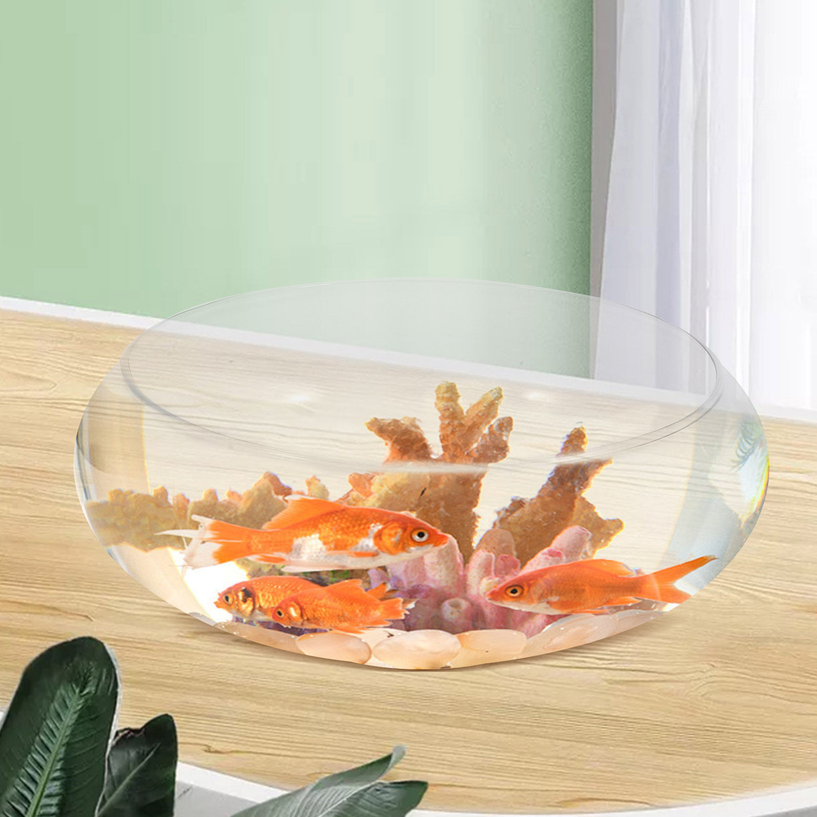 Glass Round Fish Bowl Desktop  – Planted Aquarium For Goldfish Bewertung und Preis