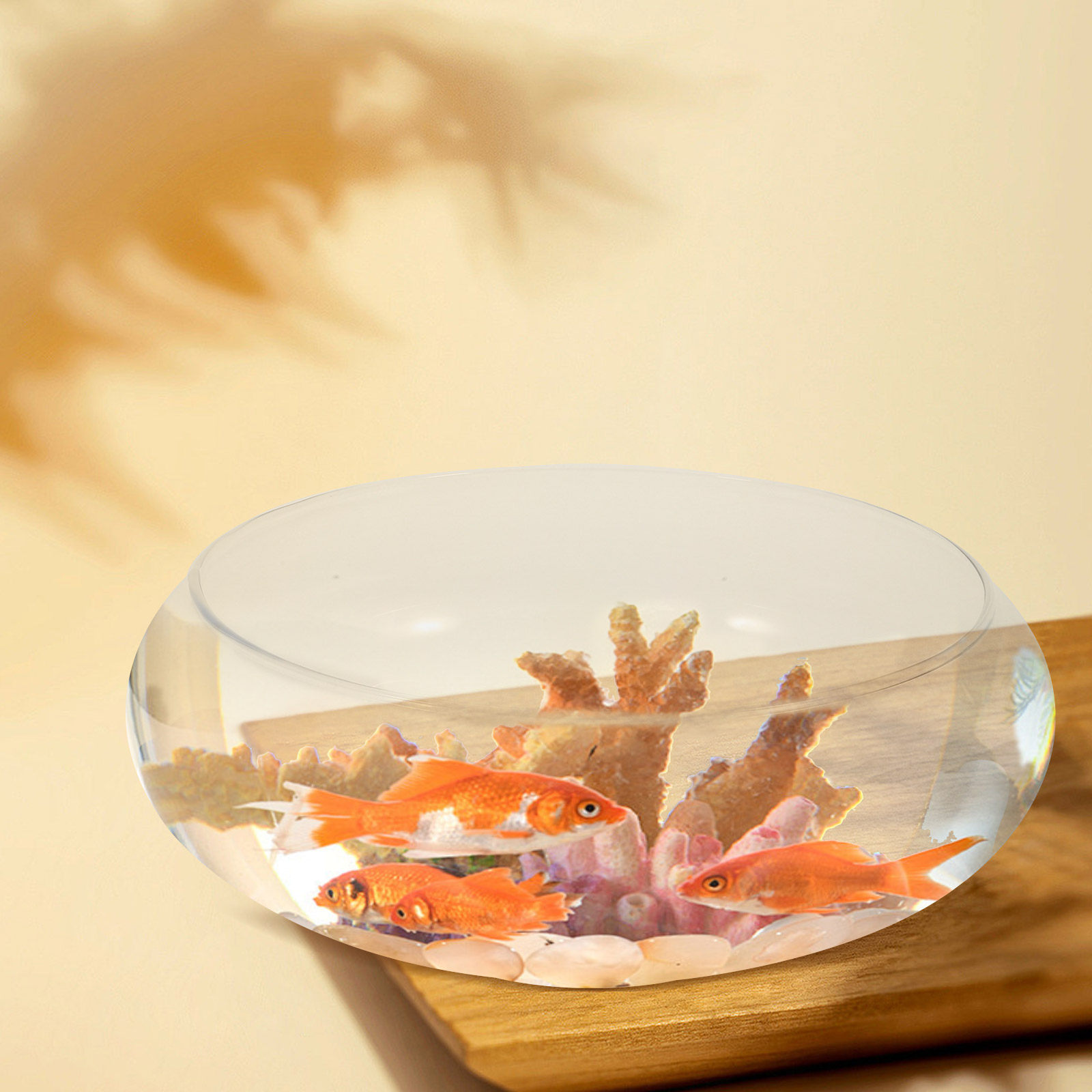 Glass Round Fish Bowl Desktop  – Planted Aquarium For Goldfish Bewertung und Preis