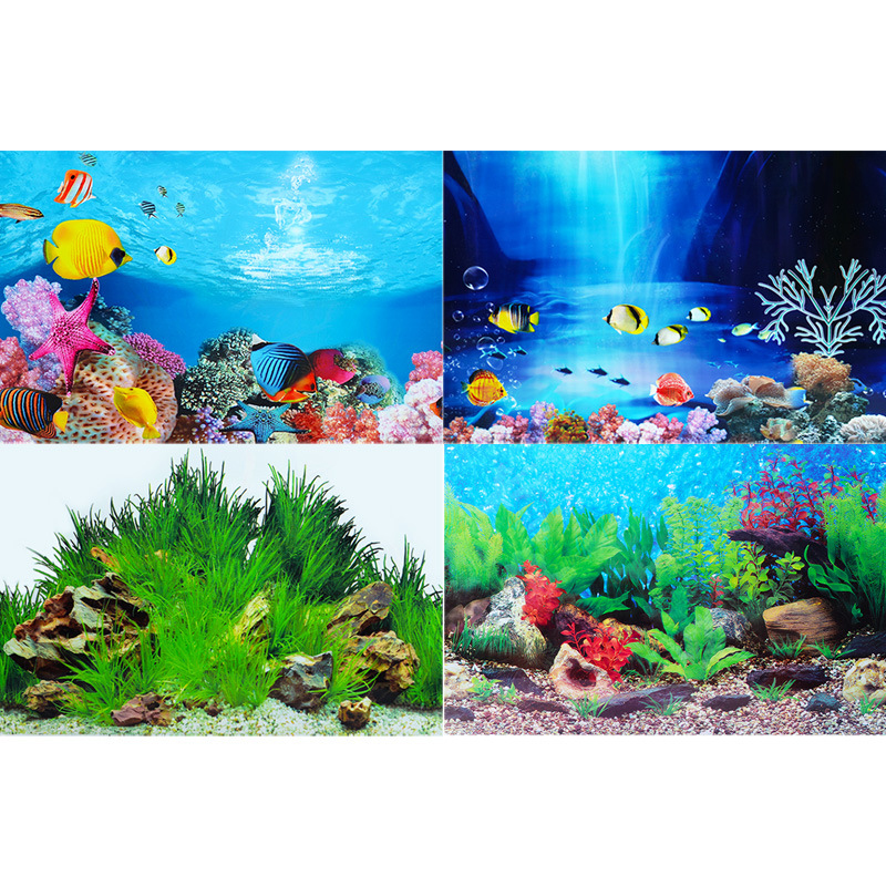 3D Background for Aquarium Dou – Planted Aquarium Wallpaper Bewertung und Preis