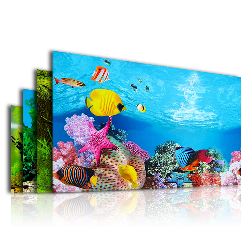 3D Background for Aquarium Dou – Planted Aquarium Wallpaper Bewertung und Preis