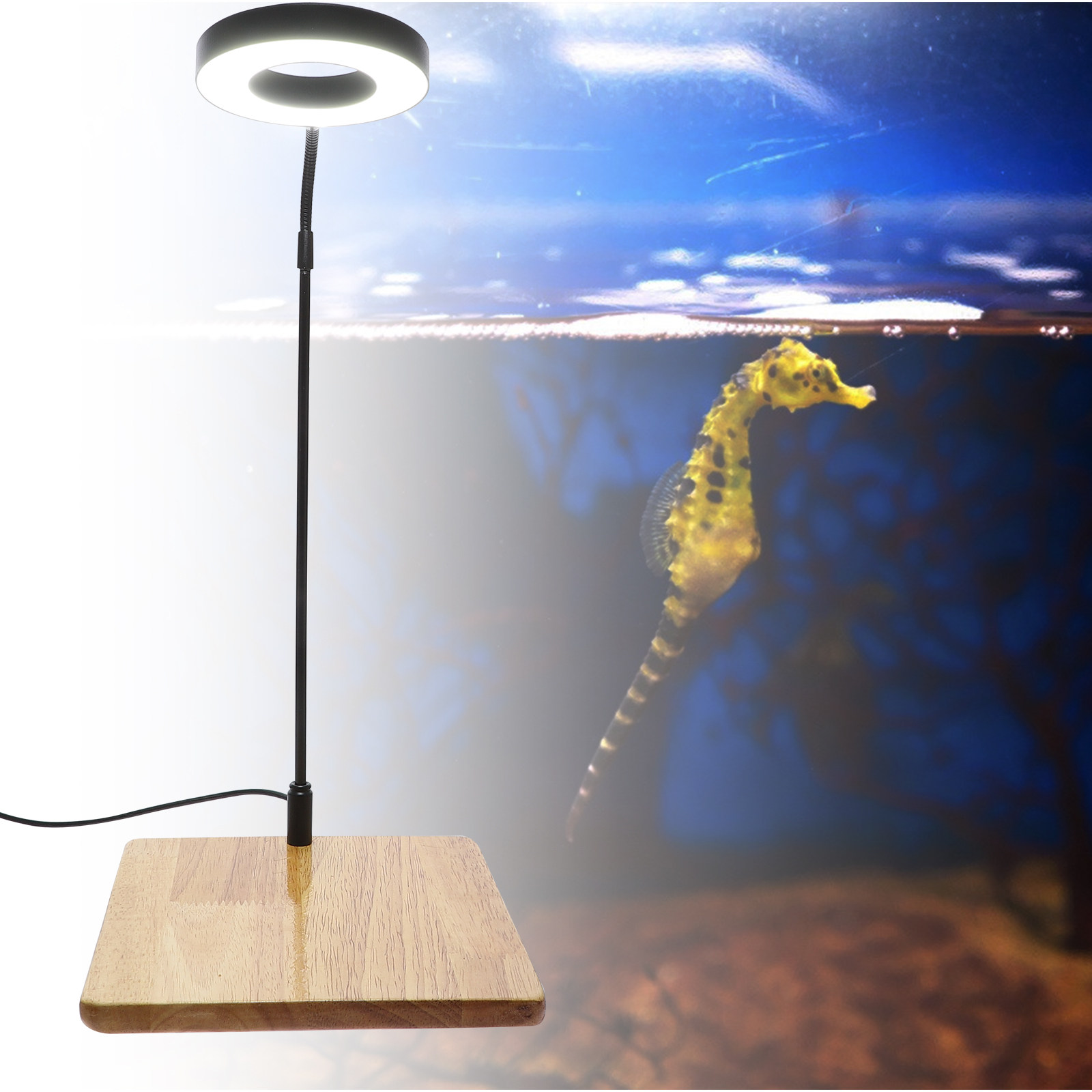 1Pcs Aquarium Fill Light High  – Aquarium Planted Bewertung und Preis