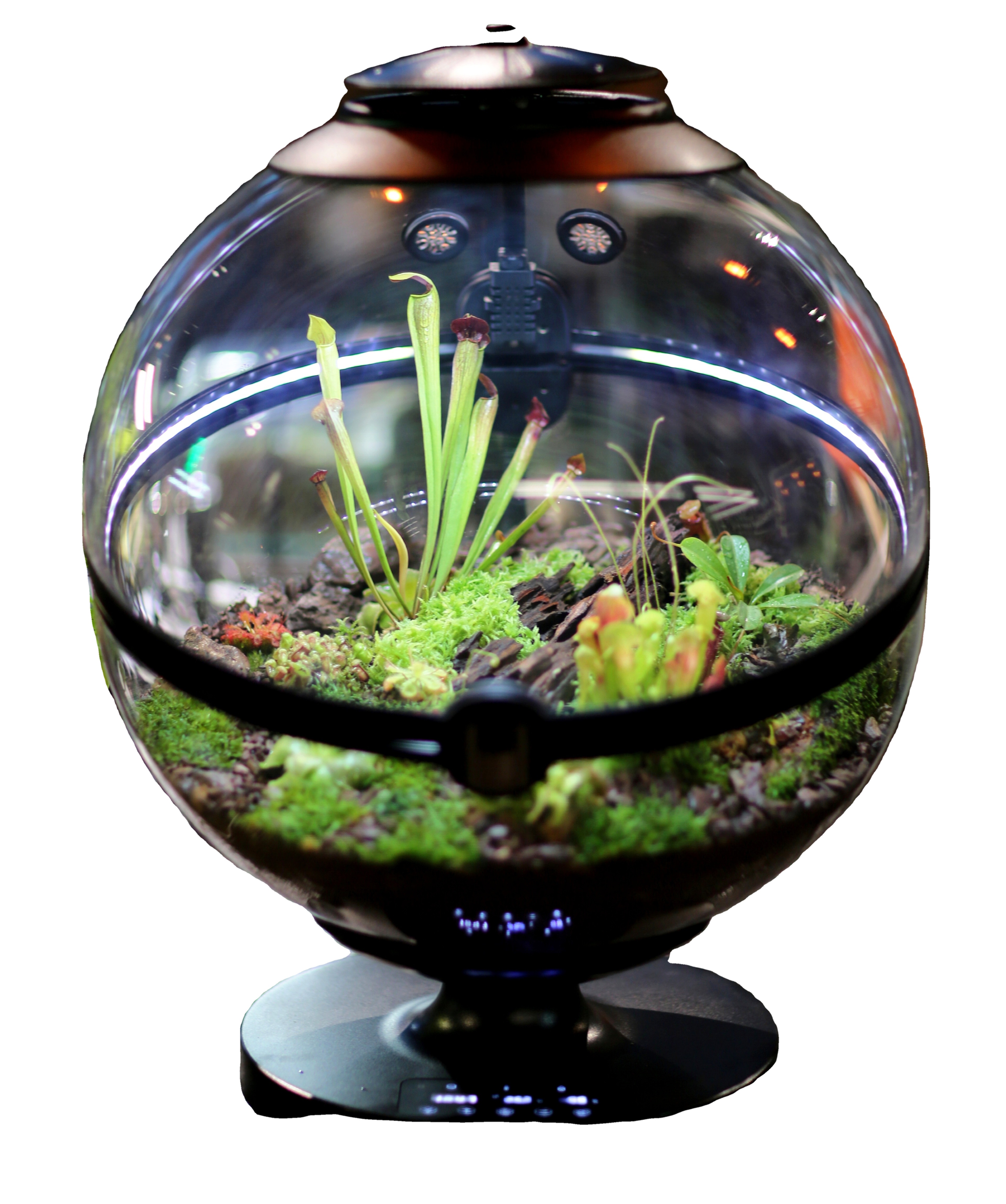 Hot Sales Acrylic Material  Ba – Aquarium Plants For Sale Bewertung und Preis