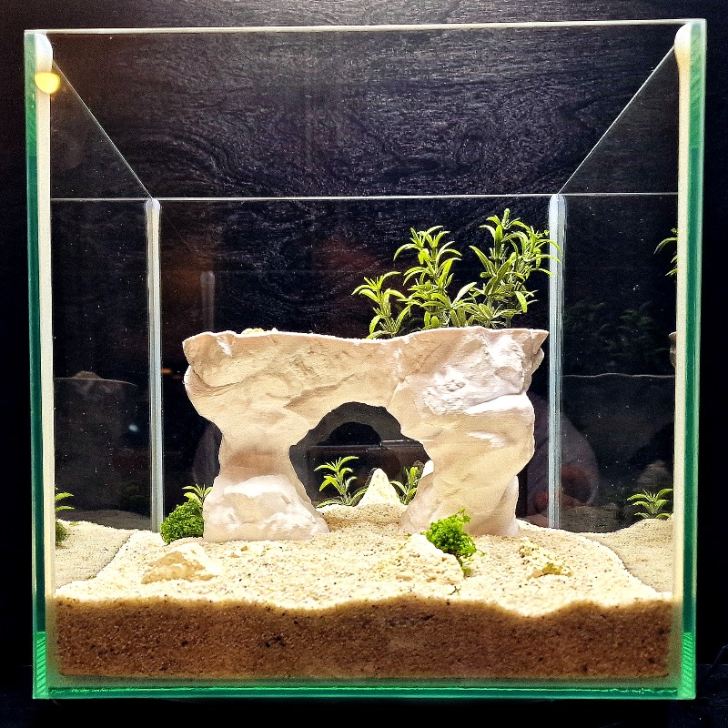 3D Printed Aquarium Planting B – Aquarium Planted Tank Soil Bewertung und Preis