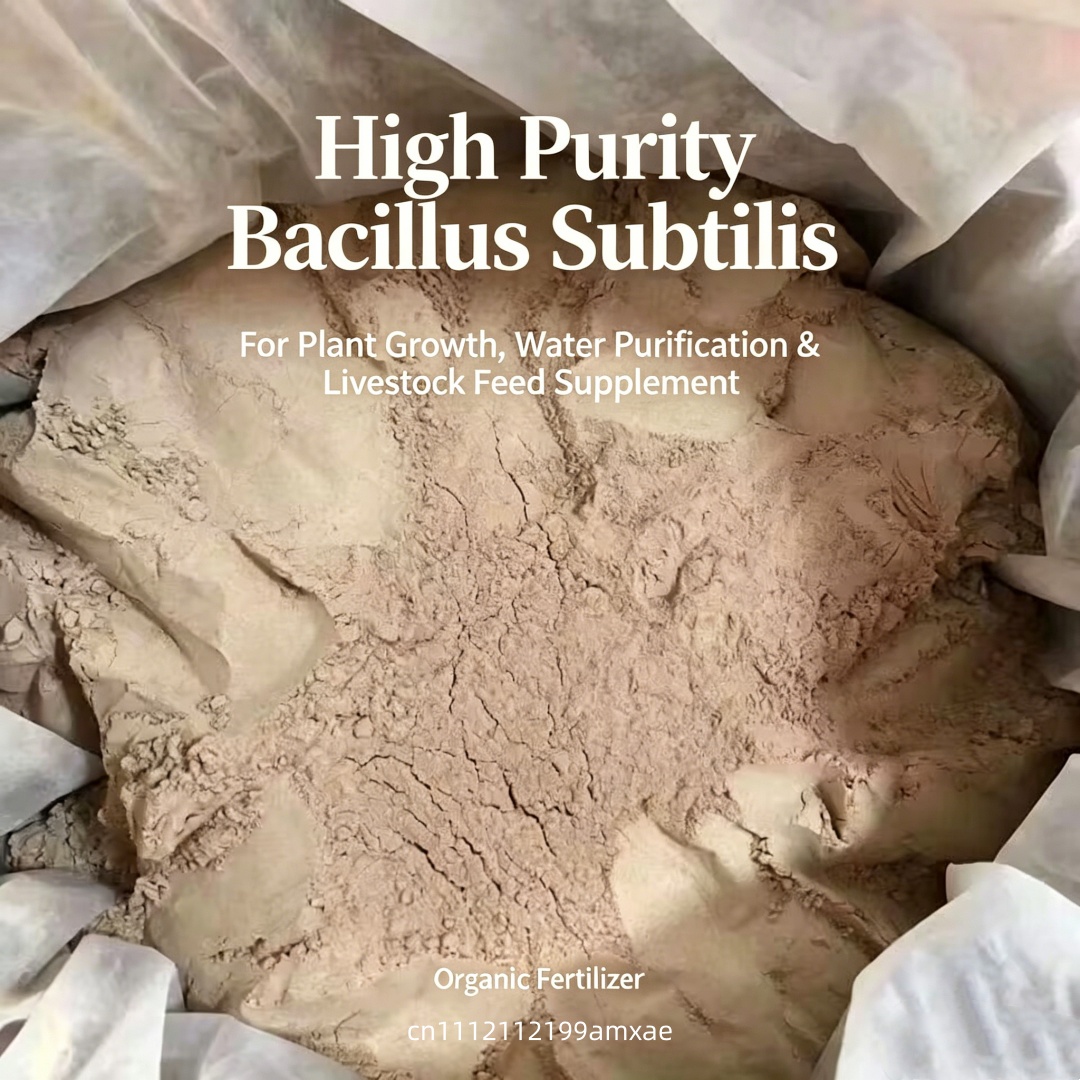 High Activity Bacillus Subtili – Aquarium Plant Fertilizer Bewertung und Preis