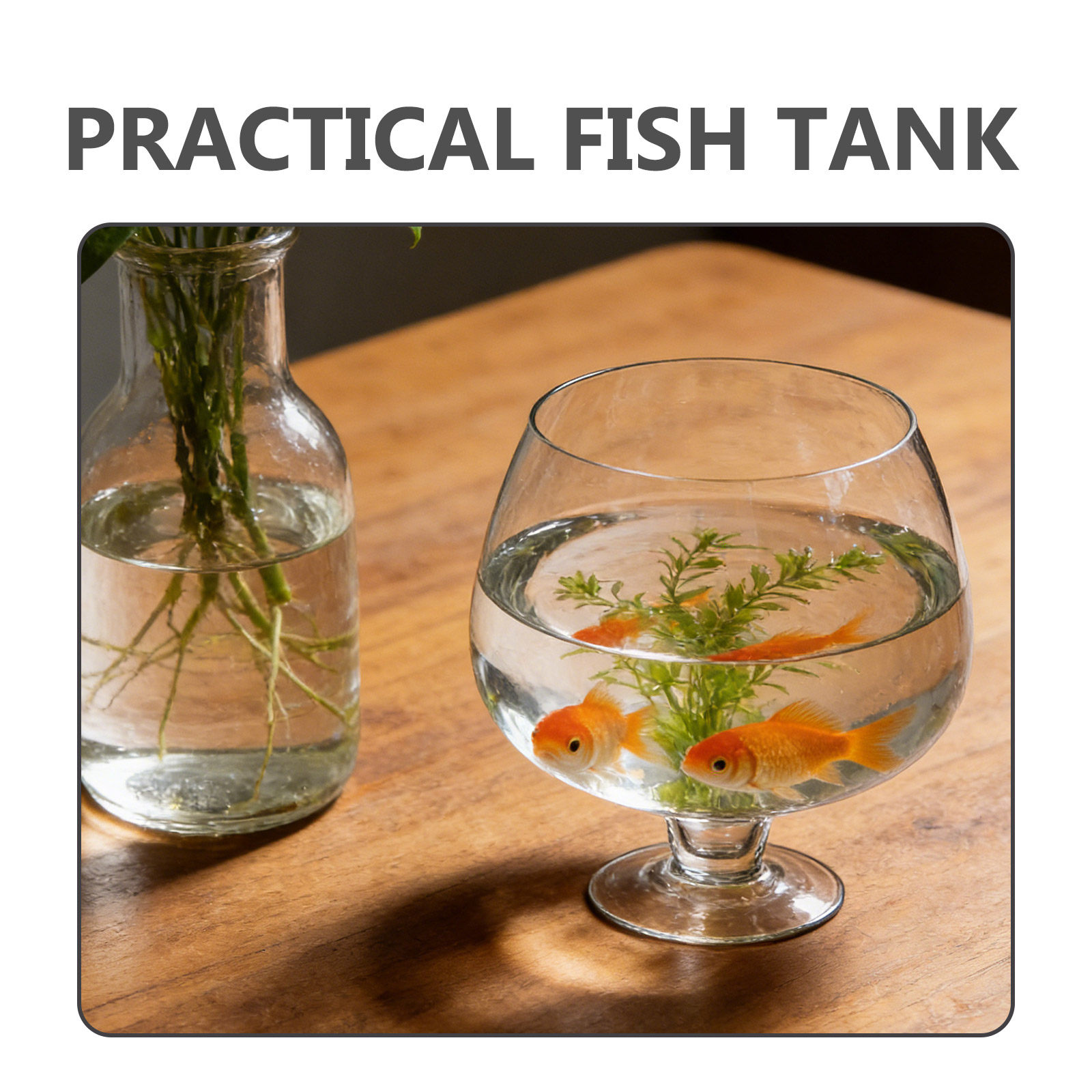 Clear Glass Desktop Goldfish T – Planted Aquarium For Goldfish Bewertung und Preis