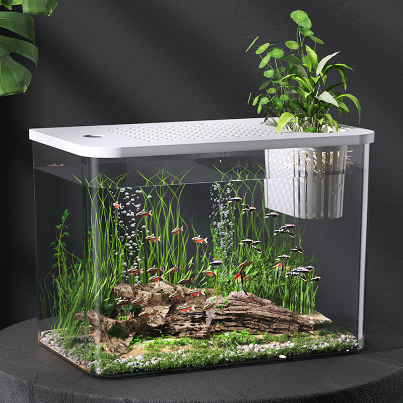 Plastic Aquarium With Lid Clea – Planted Aquarium For Goldfish Bewertung und Preis