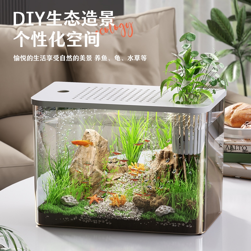 Plastic Aquarium With Lid Clea – Planted Aquarium For Goldfish Bewertung und Preis