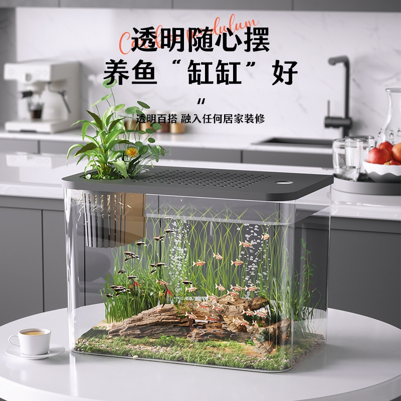 Plastic Aquarium With Lid Clea – Planted Aquarium For Goldfish Bewertung und Preis