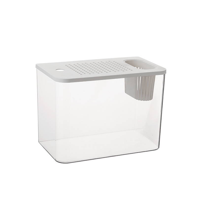 Plastic Aquarium With Lid Clea – Planted Aquarium For Goldfish Bewertung und Preis