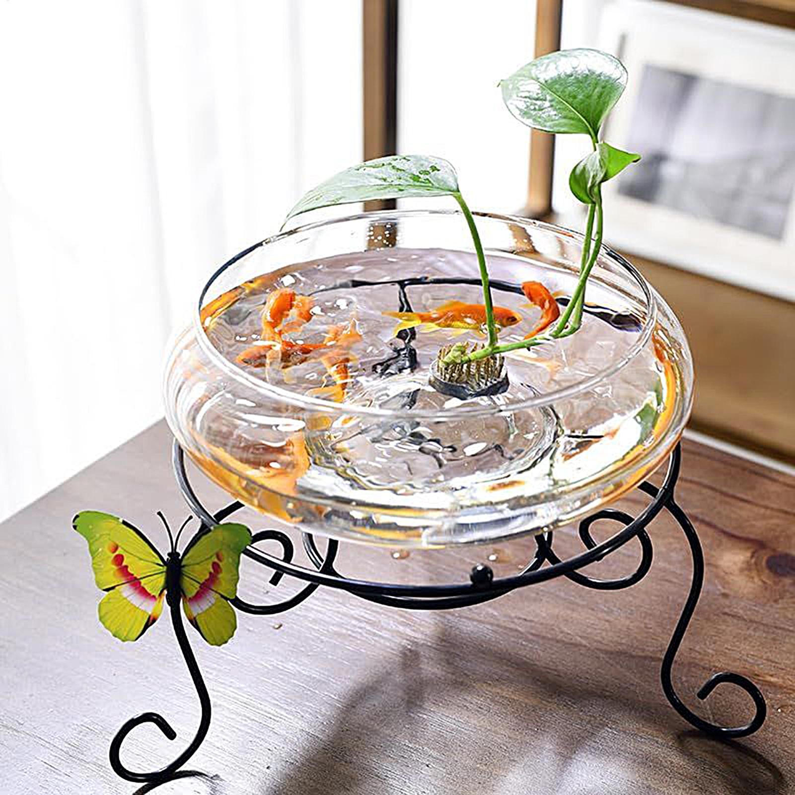 Fish Glass Bowl Glass Large Hy – Aquarium Planted Bewertung und Preis