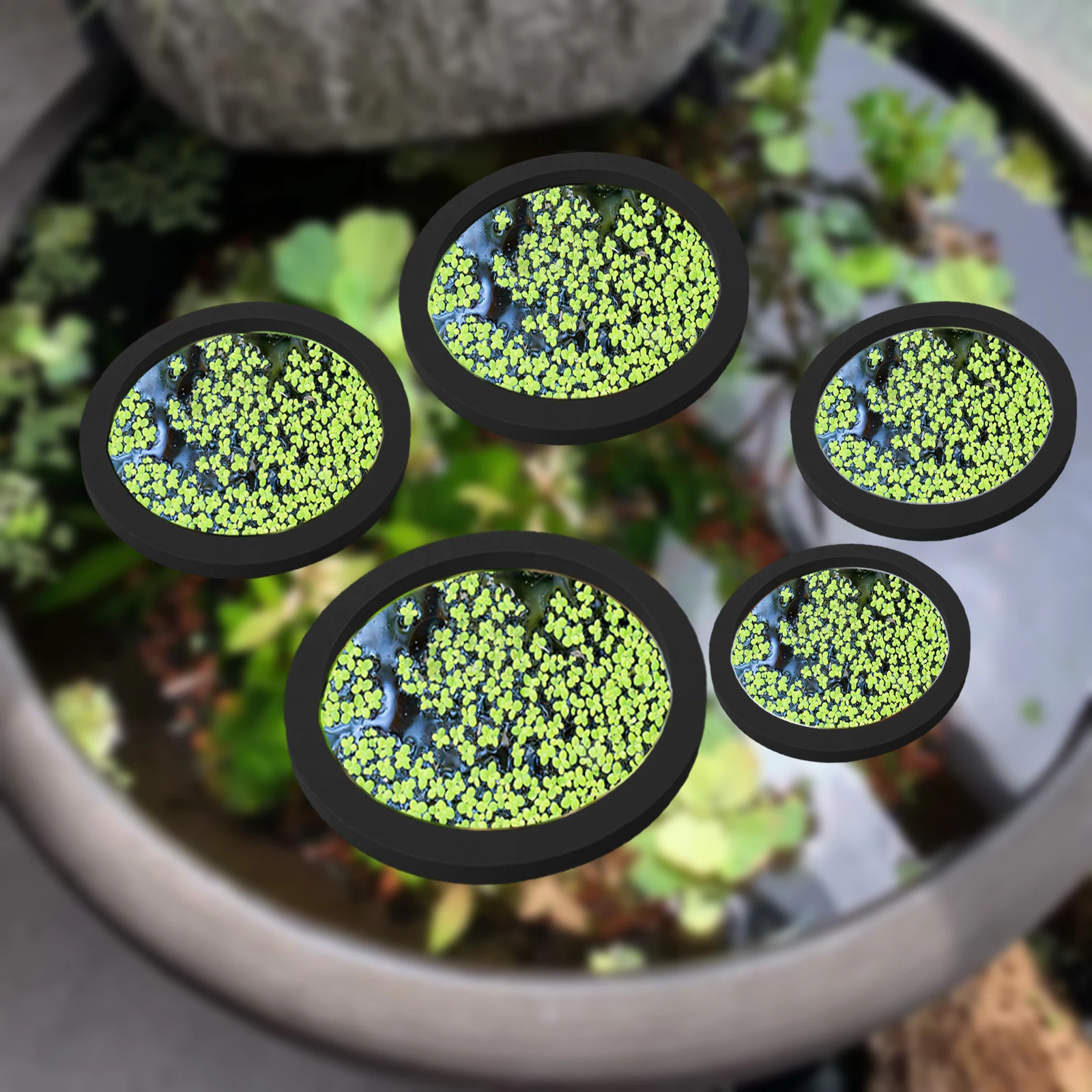 5Pcs EVA Fish Feeding Ring Aqu – Aquarium Planted Bewertung und Preis