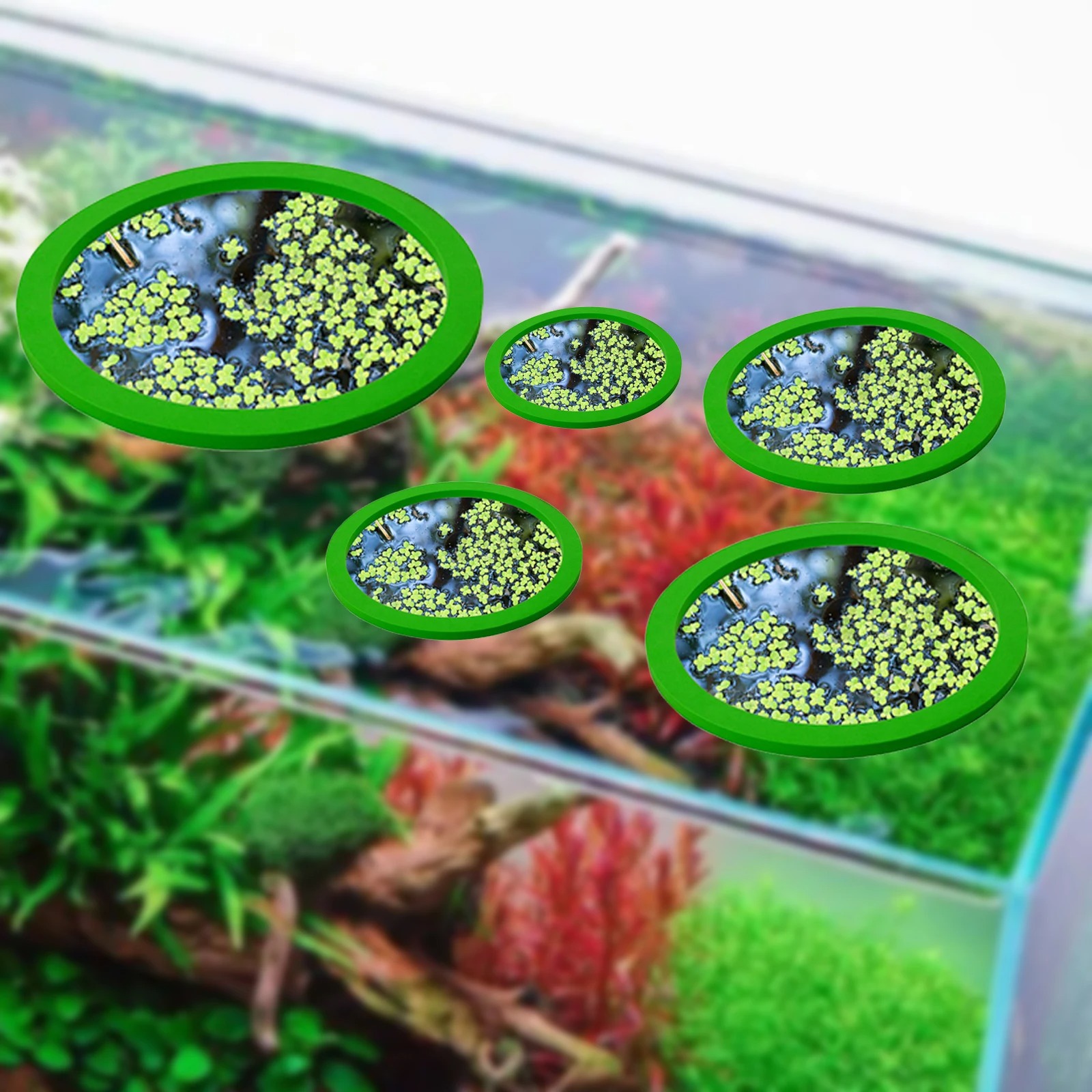5Pcs EVA Fish Feeding Ring Aqu – Aquarium Planted Bewertung und Preis