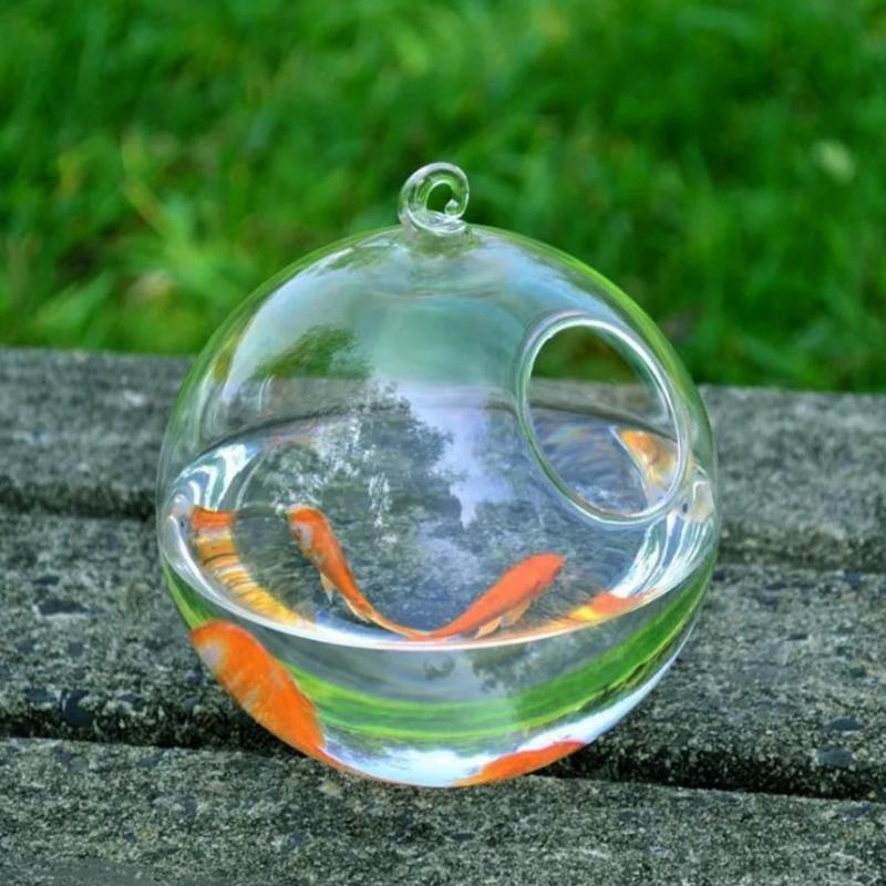 Transparent Spherical Glass Ha – Aquarium Planted Fish Tank Bewertung und Preis