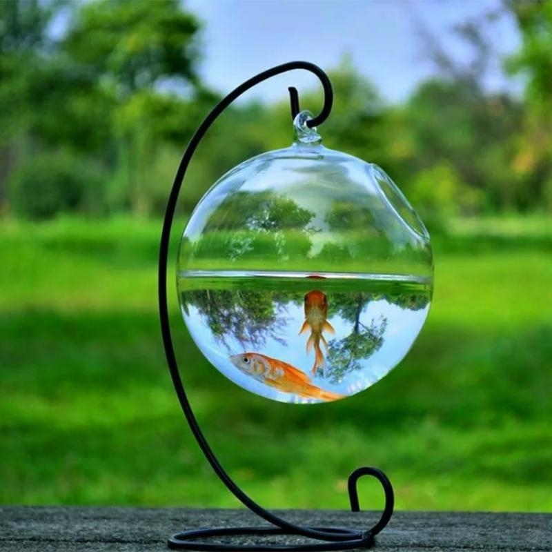 Transparent Spherical Glass Ha – Aquarium Planted Fish Tank Bewertung und Preis