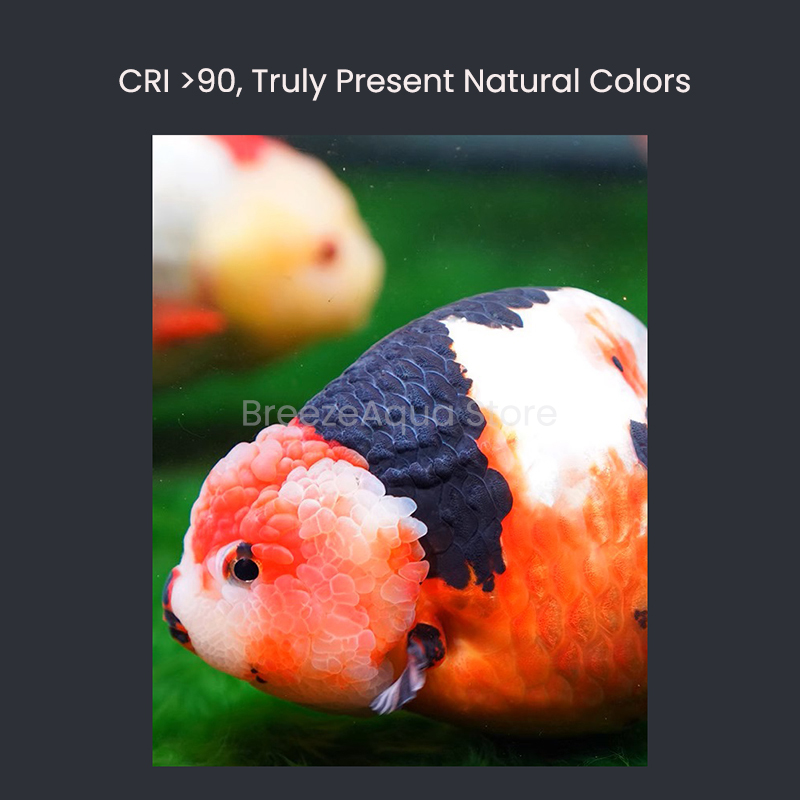 MAYIN Super Colour 100W Freshw – Planted Aquarium For Goldfish Bewertung und Preis