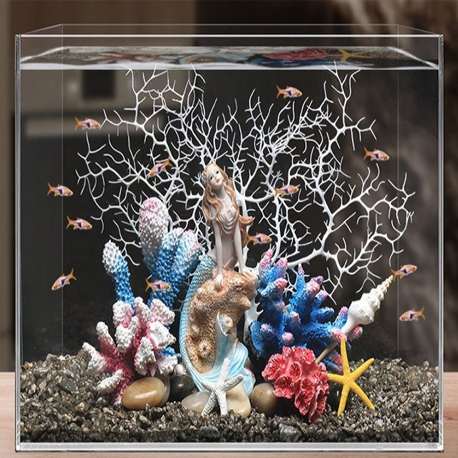 Hot Sale Aquarium Aquascape Co – Aquarium Plants For Sale Bewertung und Preis