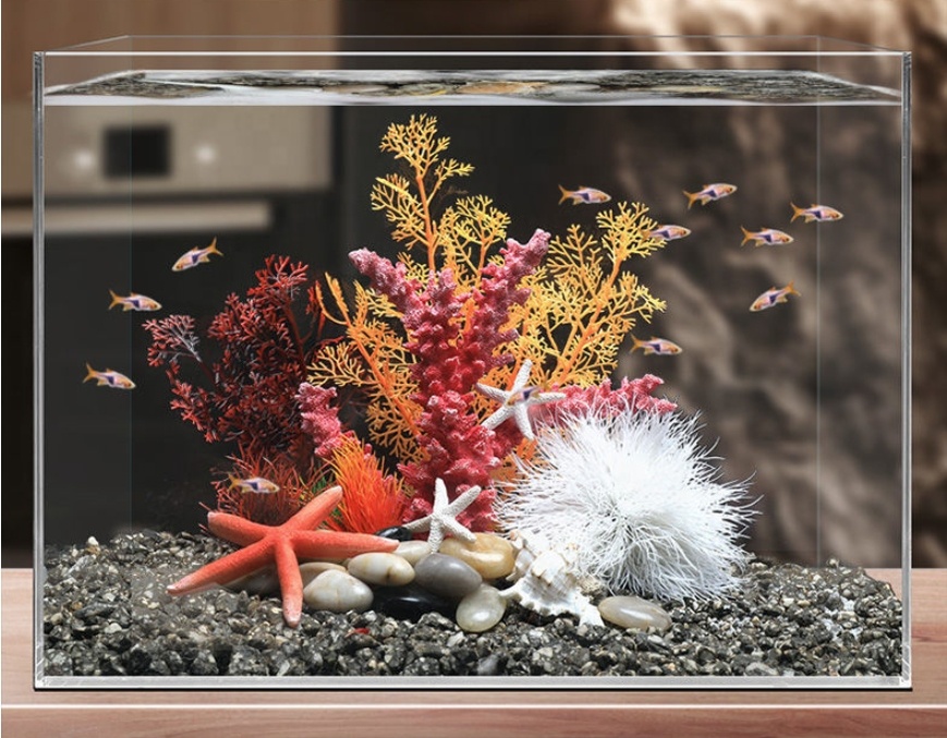 Hot Sale Aquarium Aquascape Co – Aquarium Plants For Sale Bewertung und Preis