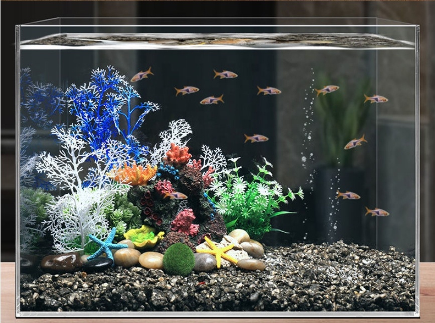 Hot Sale Aquarium Aquascape Co – Aquarium Plants For Sale Bewertung und Preis