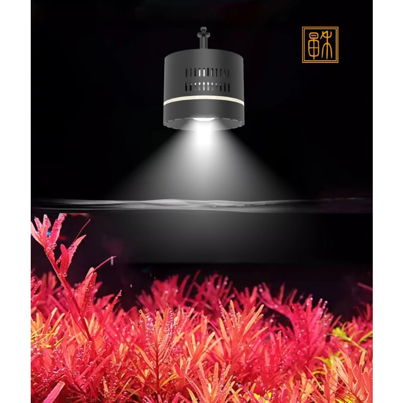 100W Timed Dimming Full Spectr – Planted Aquarium For Goldfish Bewertung und Preis