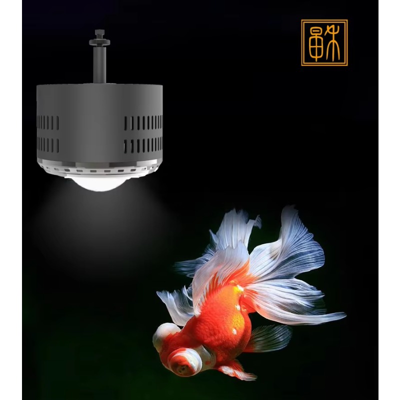 100W Timed Dimming Full Spectr – Planted Aquarium For Goldfish Bewertung und Preis