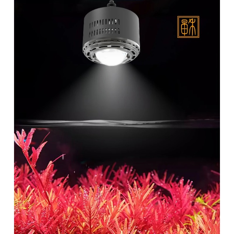 100W Timed Dimming Full Spectr – Planted Aquarium For Goldfish Bewertung und Preis