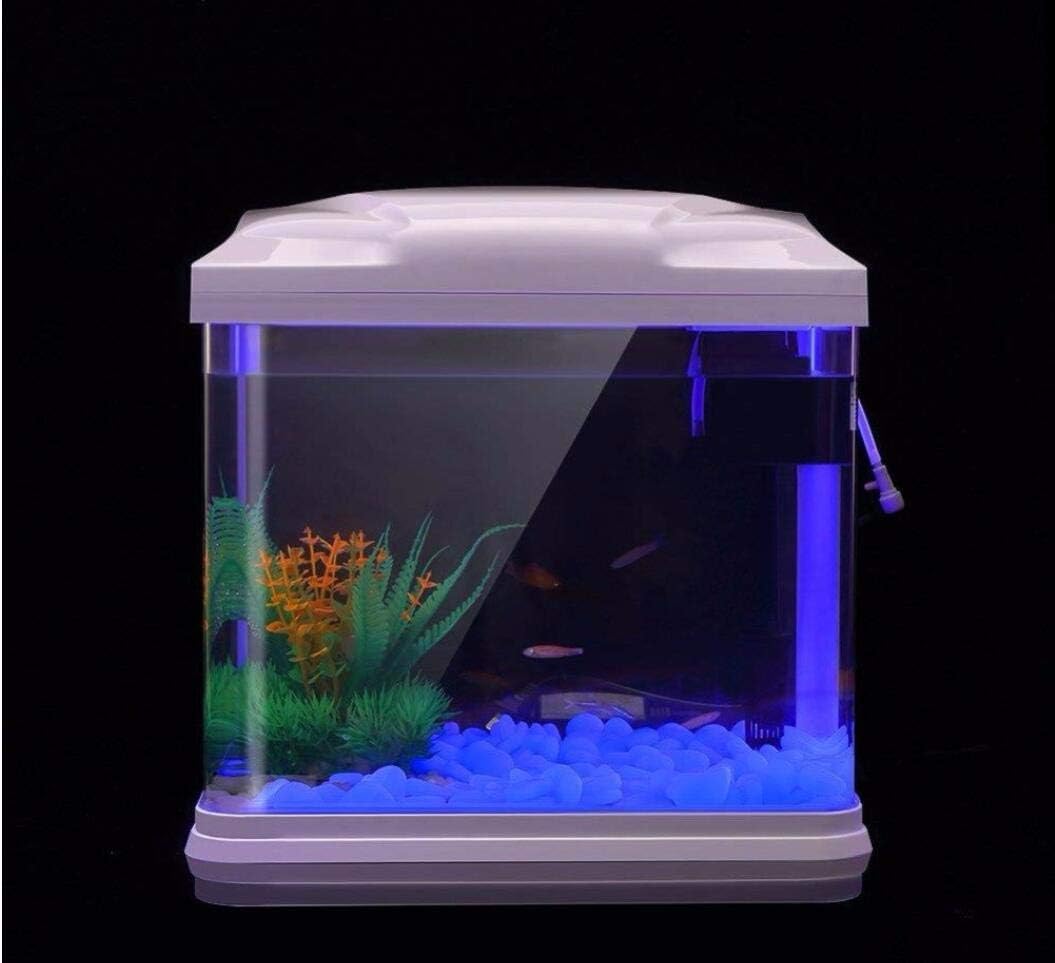 Fish Tank Rocks Glow Blue Pebb – Aquarium Planted Bewertung und Preis