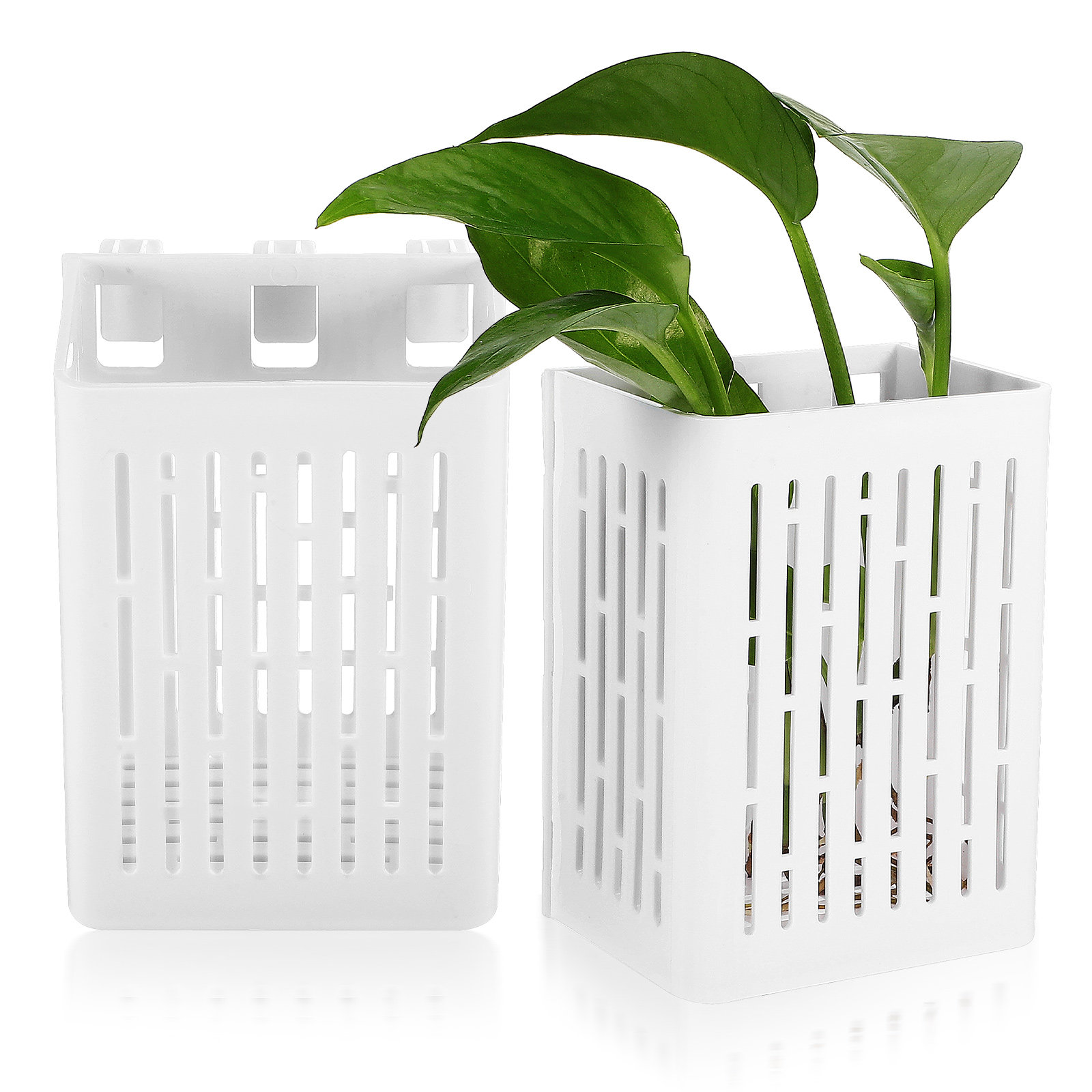 2pcs Aquarium Plant Baskets Pl – Aquarium Planted Bewertung und Preis