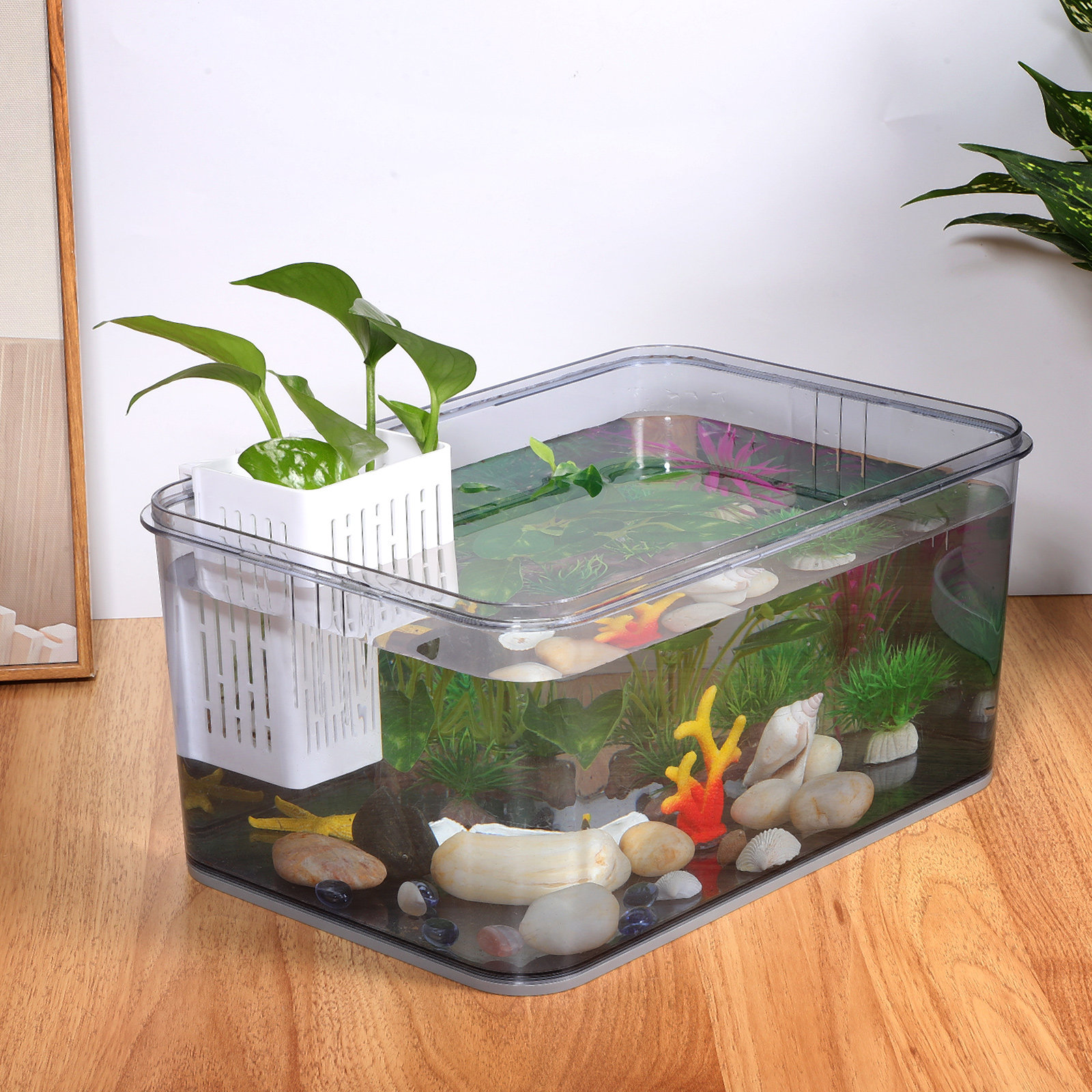 2pcs Aquarium Plant Baskets Pl – Aquarium Planted Bewertung und Preis