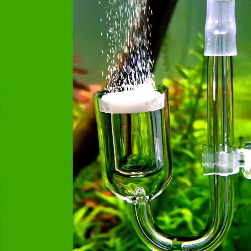 Nano CO2 Diffuser Glass Atomiz – Planted Aquarium Products Bewertung und Preis