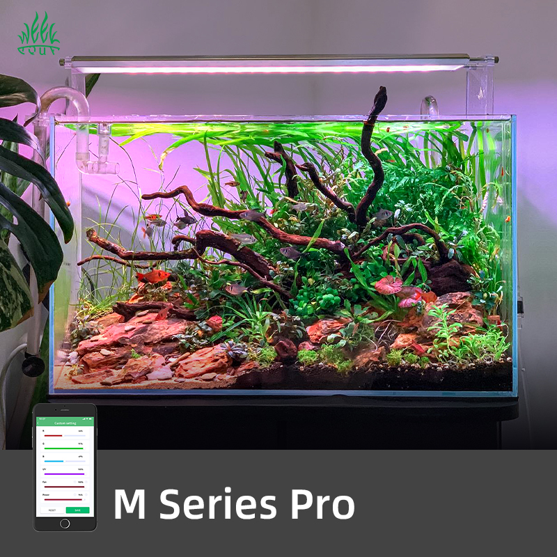 ZXY Hot Sales WEEK AQUA M1200P – Aquarium Plants For Sale Bewertung und Preis