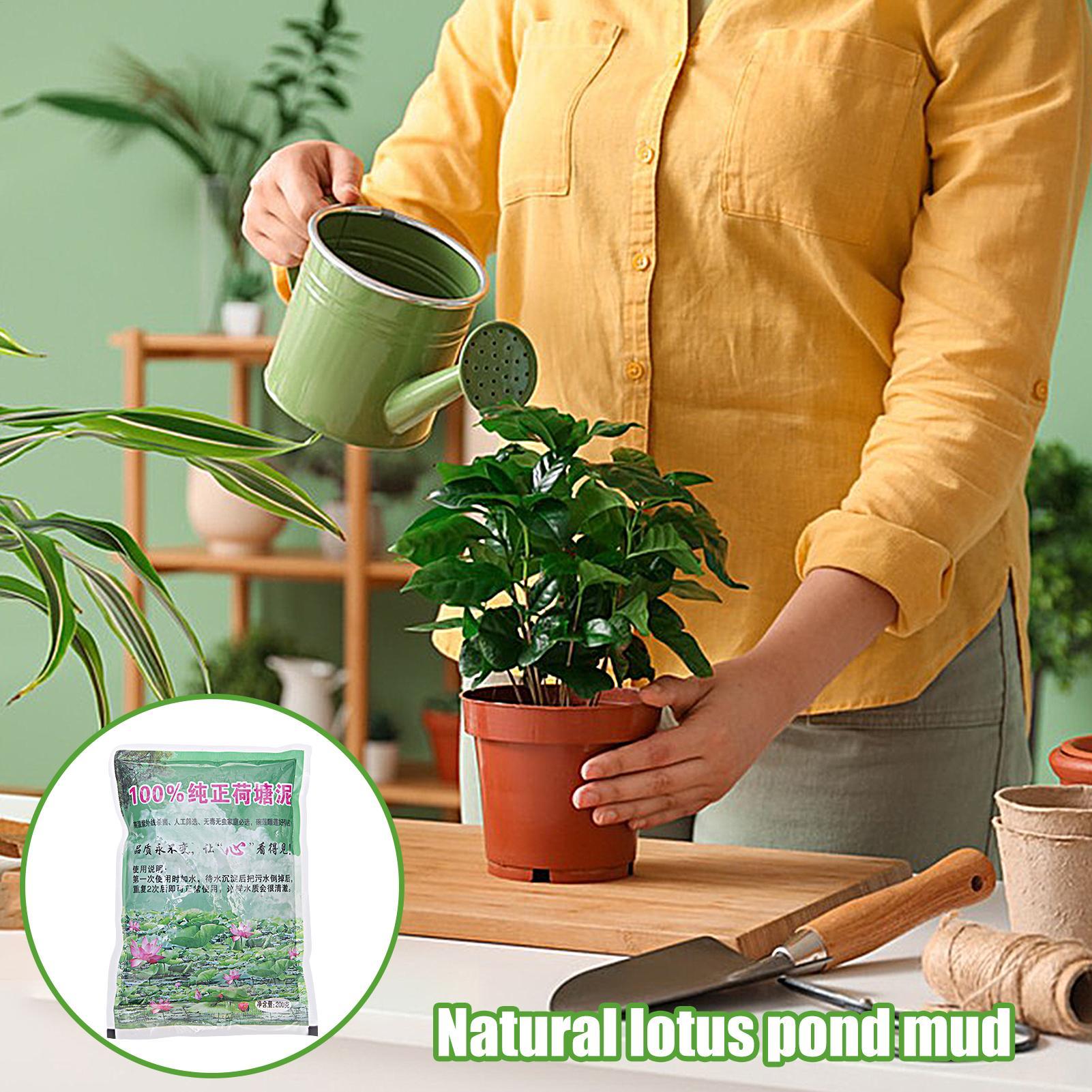 200g/bag Aquarium Soil Natural – Aquarium Plant Seeds Bewertung und Preis