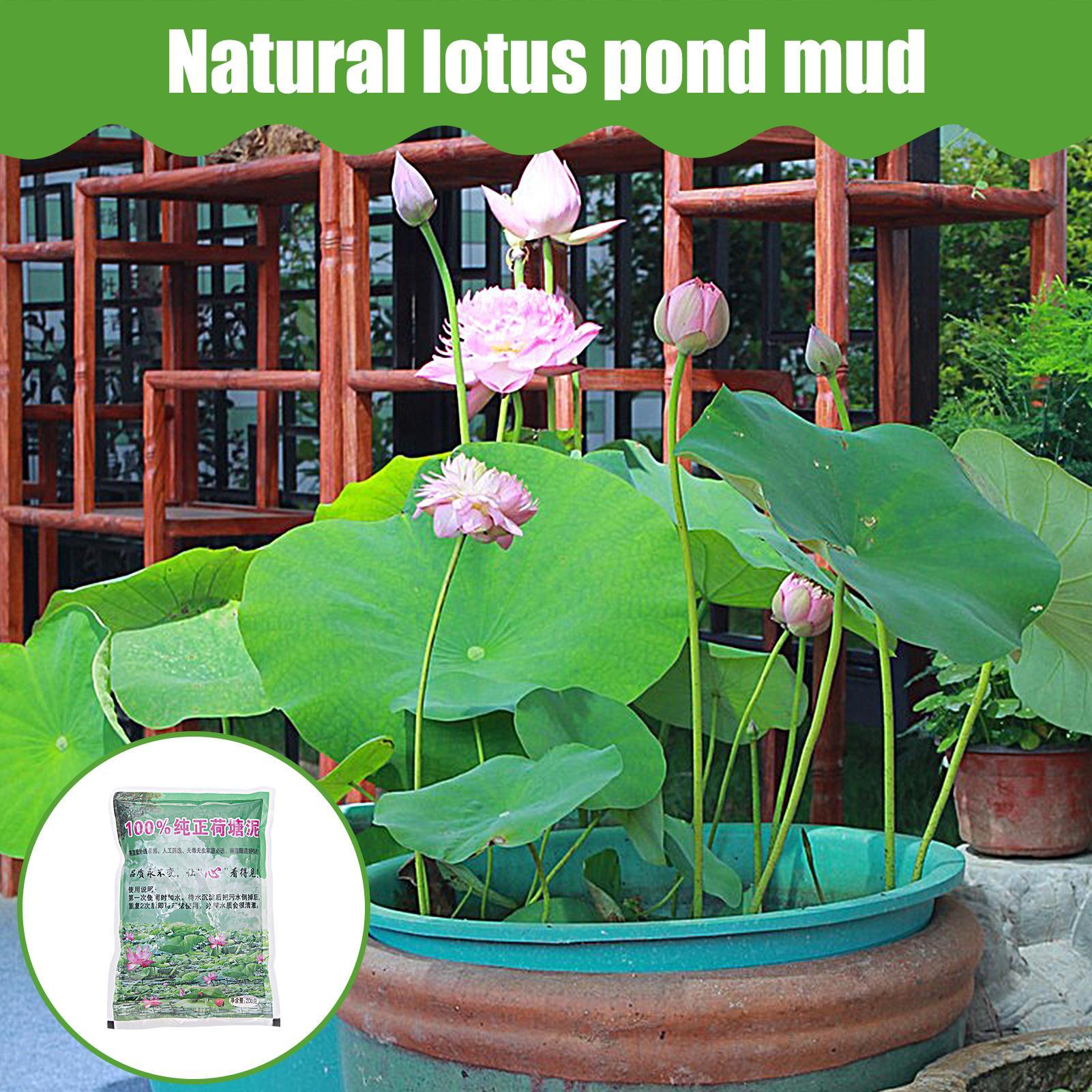 200g/bag Aquarium Soil Natural – Aquarium Plant Seeds Bewertung und Preis