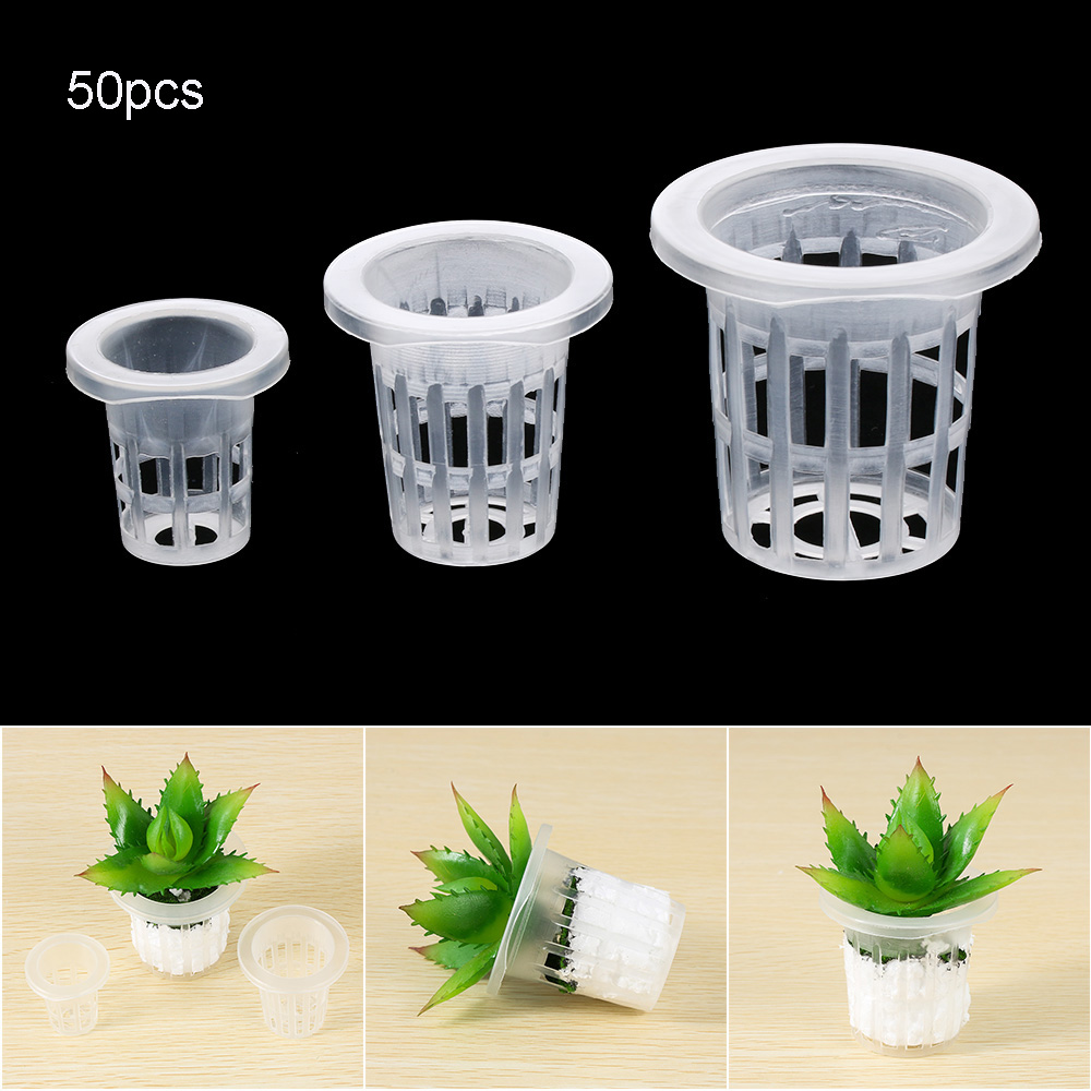 10/50pcs Garden Supplies Aquar – Aquarium Plant Seeds Bewertung und Preis