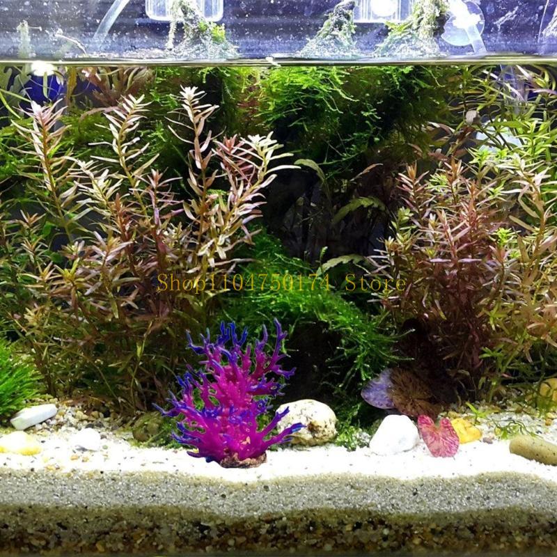 Artificial Water Plant Aquariu – Aquarium Plants For Sale Bewertung und Preis
