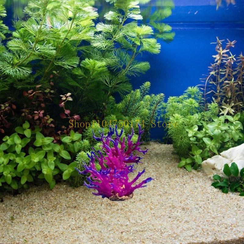 Artificial Water Plant Aquariu – Aquarium Plants For Sale Bewertung und Preis