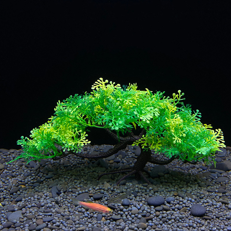 Aquarium bonsai tree, plant, f – Aquarium Plant Seeds Bewertung und Preis