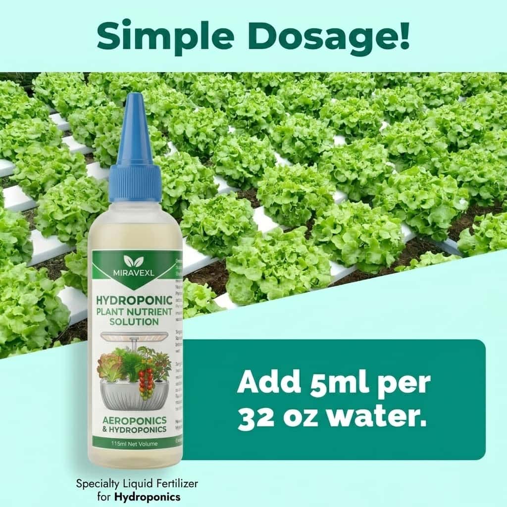 MIRAVEXL Hydroponic Liquid Fer – Liquid Fertilizer All In Bewertung und Preis