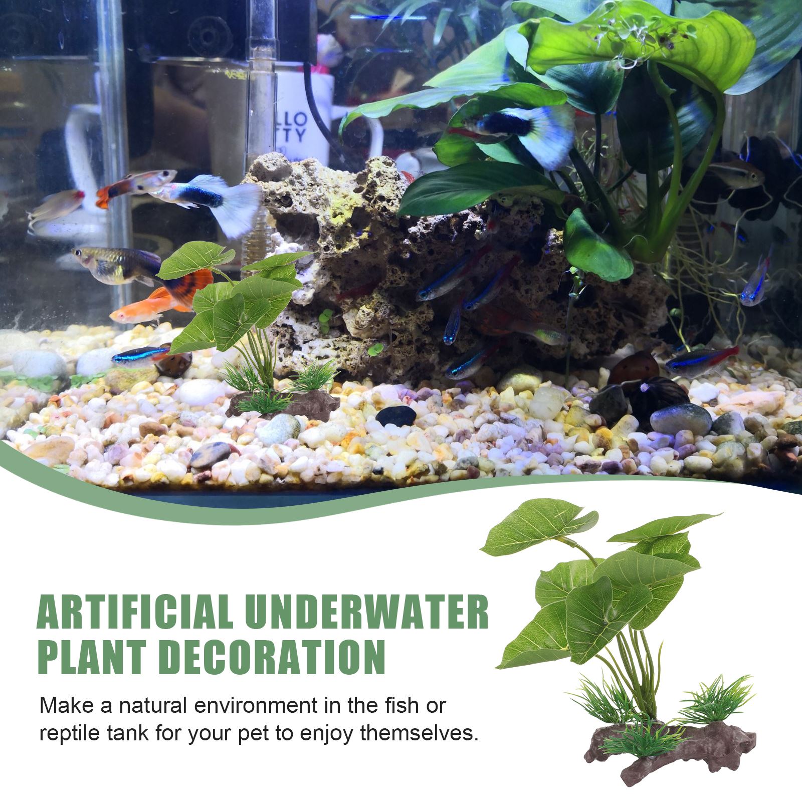 Artificial Underwater Plant Aq – Aquarium Plant Seeds Bewertung und Preis