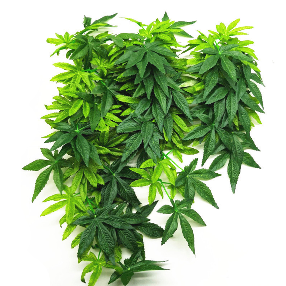 HOT SALE 30/40/50CM Aquarium R – Aquarium Plants For Sale Bewertung und Preis