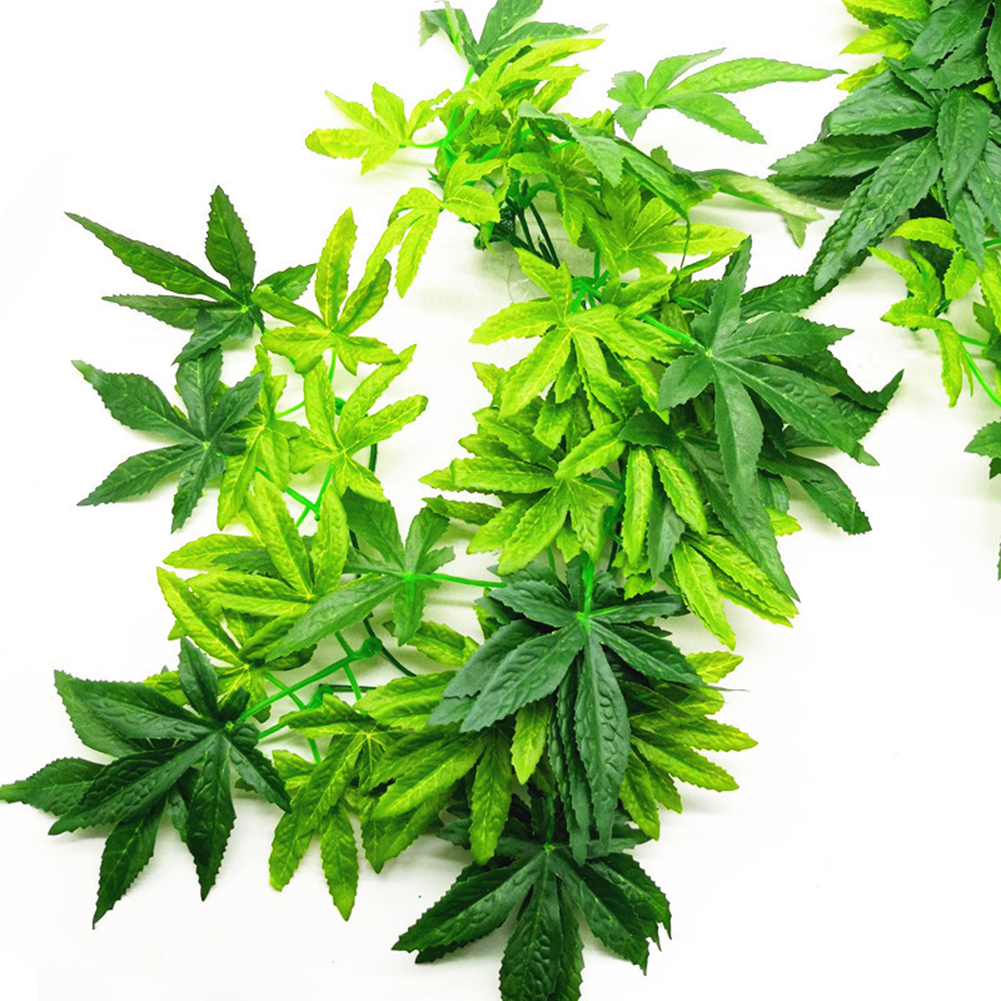 HOT SALE 30/40/50CM Aquarium R – Aquarium Plants For Sale Bewertung und Preis