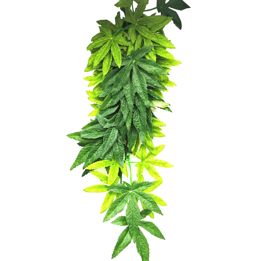 HOT SALE 30/40/50CM Aquarium R – Aquarium Plants For Sale Bewertung und Preis